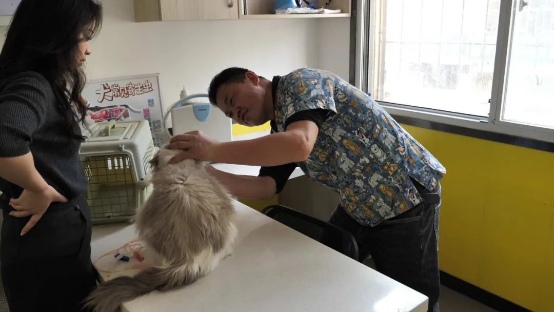 服务涵盖昆明无人机培训、昆明保安服务、昆明物业服务、昆明宠物医疗美容、昆明职业技能培训服务、昆明广告策划、昆明安防监控。