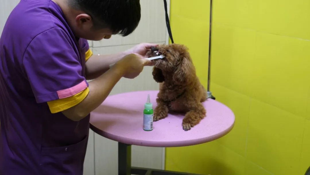 服务涵盖昆明无人机培训、昆明保安服务、昆明物业服务、昆明宠物医疗美容、昆明职业技能培训服务、昆明广告策划、昆明安防监控。