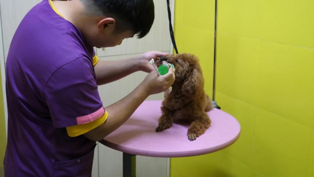 服务涵盖昆明无人机培训、昆明保安服务、昆明物业服务、昆明宠物医疗美容、昆明职业技能培训服务、昆明广告策划、昆明安防监控。