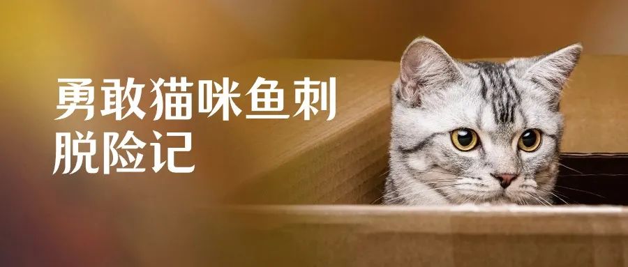 服务涵盖昆明无人机培训、昆明保安服务、昆明物业服务、昆明宠物医疗美容、昆明职业技能培训服务、昆明广告策划、昆明安防监控。