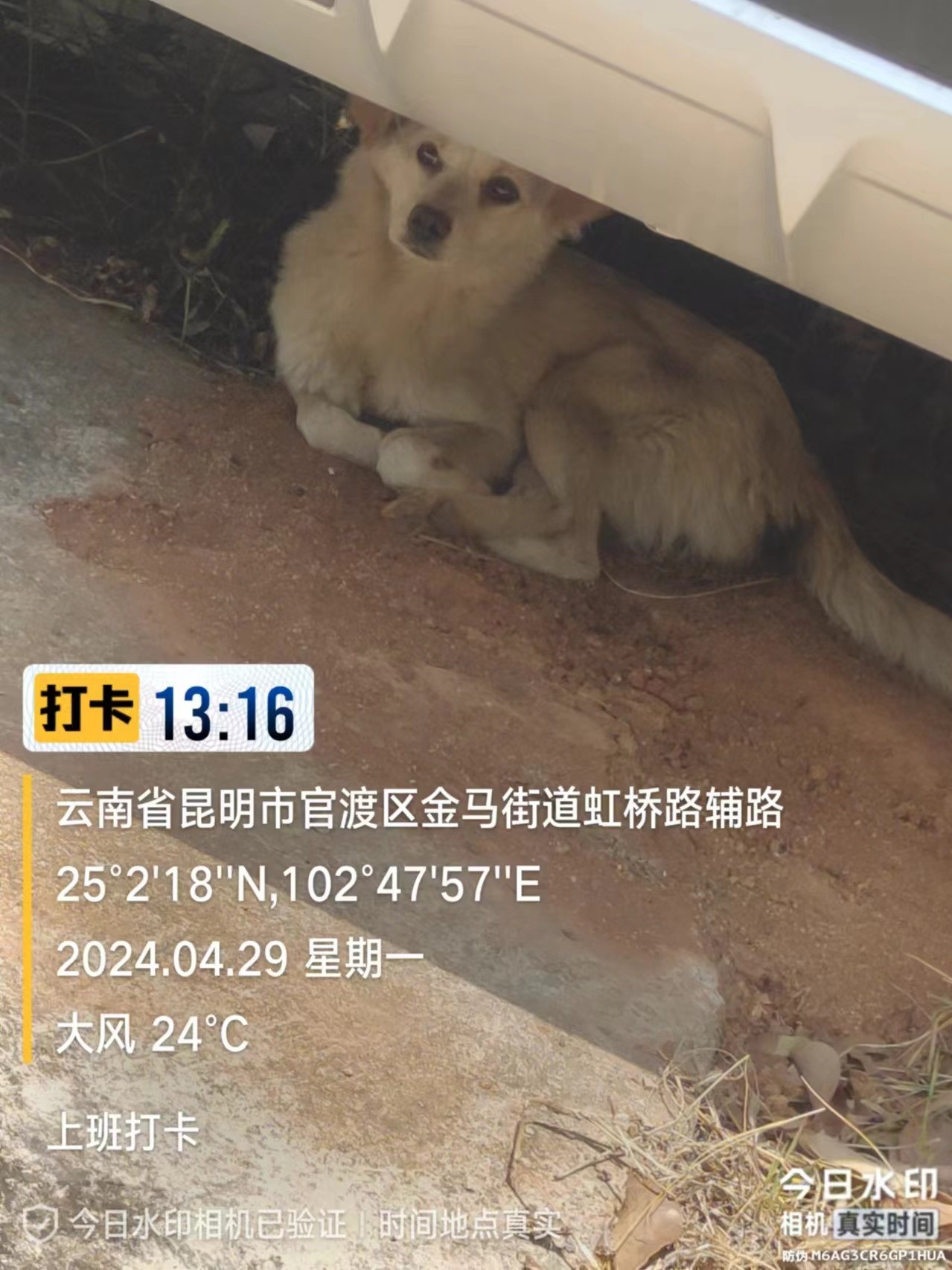 服务涵盖昆明无人机培训、昆明保安服务、昆明物业服务、昆明宠物医疗美容、昆明职业技能培训服务、昆明广告策划、昆明安防监控。