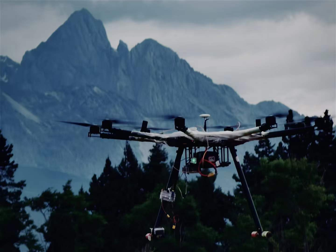 服务涵盖昆明无人机培训、昆明保安服务、昆明物业服务、昆明宠物医疗美容、昆明职业技能培训服务、昆明广告策划、昆明安防监控。