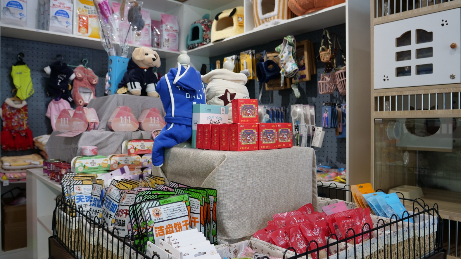 服务涵盖昆明无人机培训、昆明保安服务、昆明物业服务、昆明宠物医疗美容、昆明职业技能培训服务、昆明广告策划、昆明安防监控。