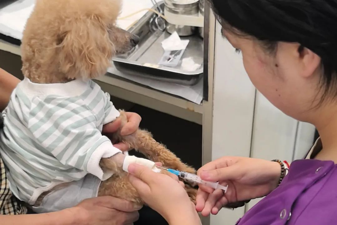 服务涵盖昆明无人机培训、昆明保安服务、昆明物业服务、昆明宠物医疗美容、昆明职业技能培训服务、昆明广告策划、昆明安防监控。