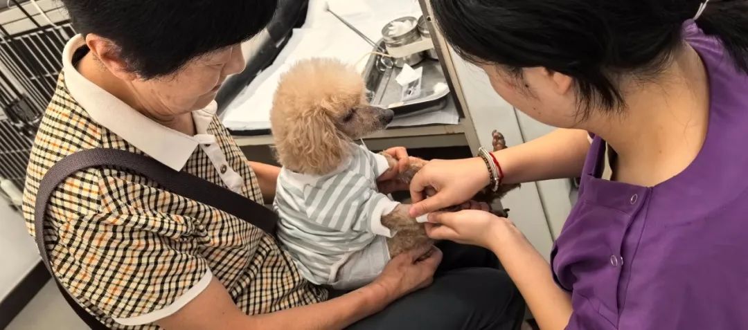 服务涵盖昆明无人机培训、昆明保安服务、昆明物业服务、昆明宠物医疗美容、昆明职业技能培训服务、昆明广告策划、昆明安防监控。