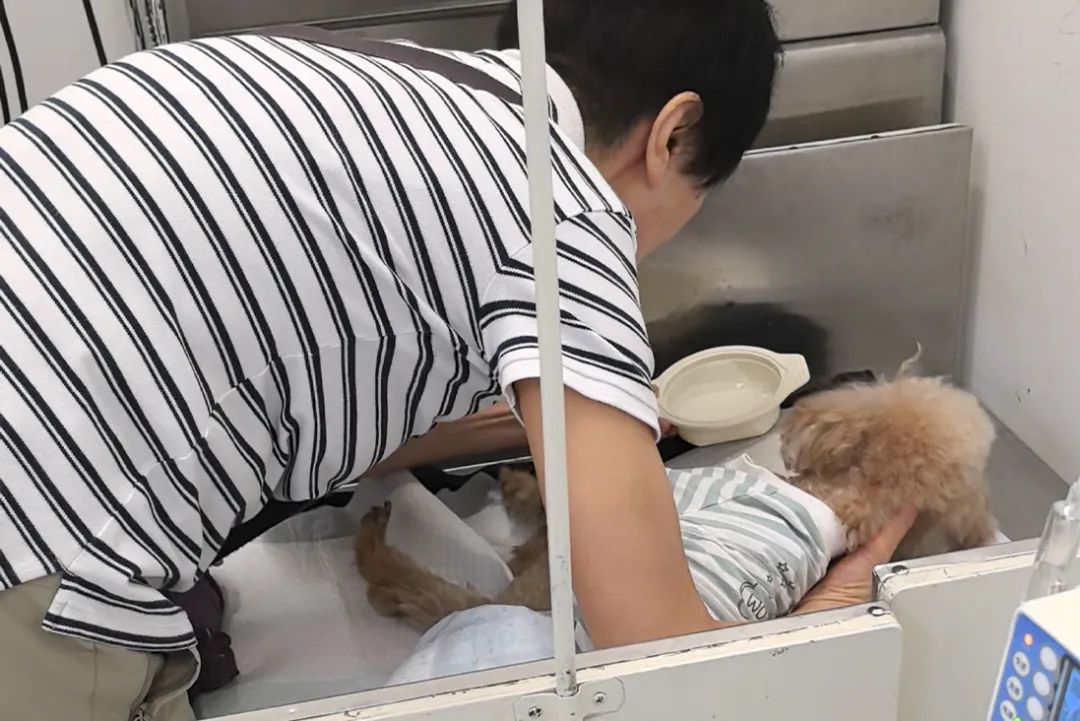 服务涵盖昆明无人机培训、昆明保安服务、昆明物业服务、昆明宠物医疗美容、昆明职业技能培训服务、昆明广告策划、昆明安防监控。