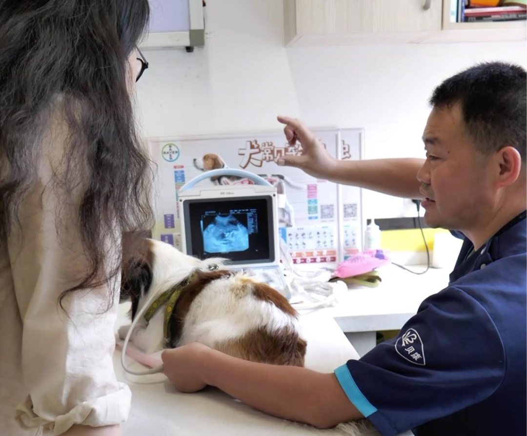 服务涵盖昆明无人机培训、昆明保安服务、昆明物业服务、昆明宠物医疗美容、昆明职业技能培训服务、昆明广告策划、昆明安防监控。