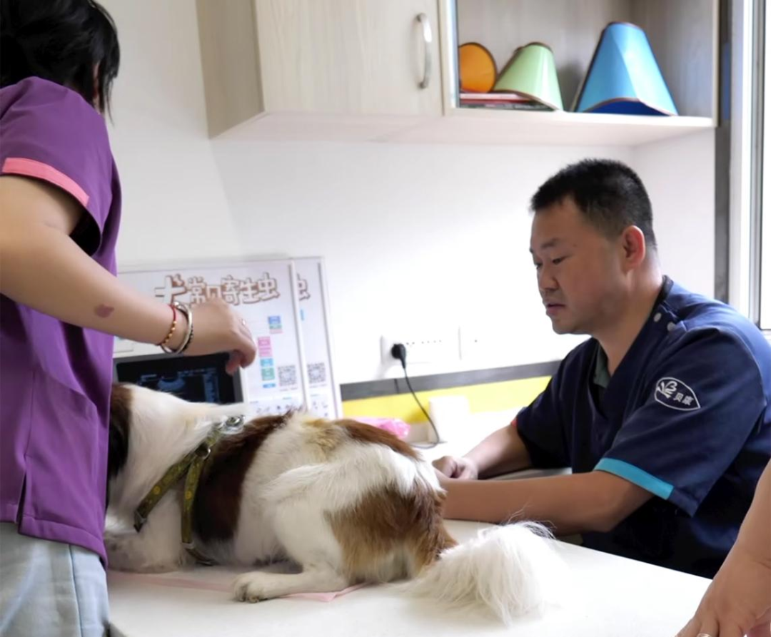 服务涵盖昆明无人机培训、昆明保安服务、昆明物业服务、昆明宠物医疗美容、昆明职业技能培训服务、昆明广告策划、昆明安防监控。