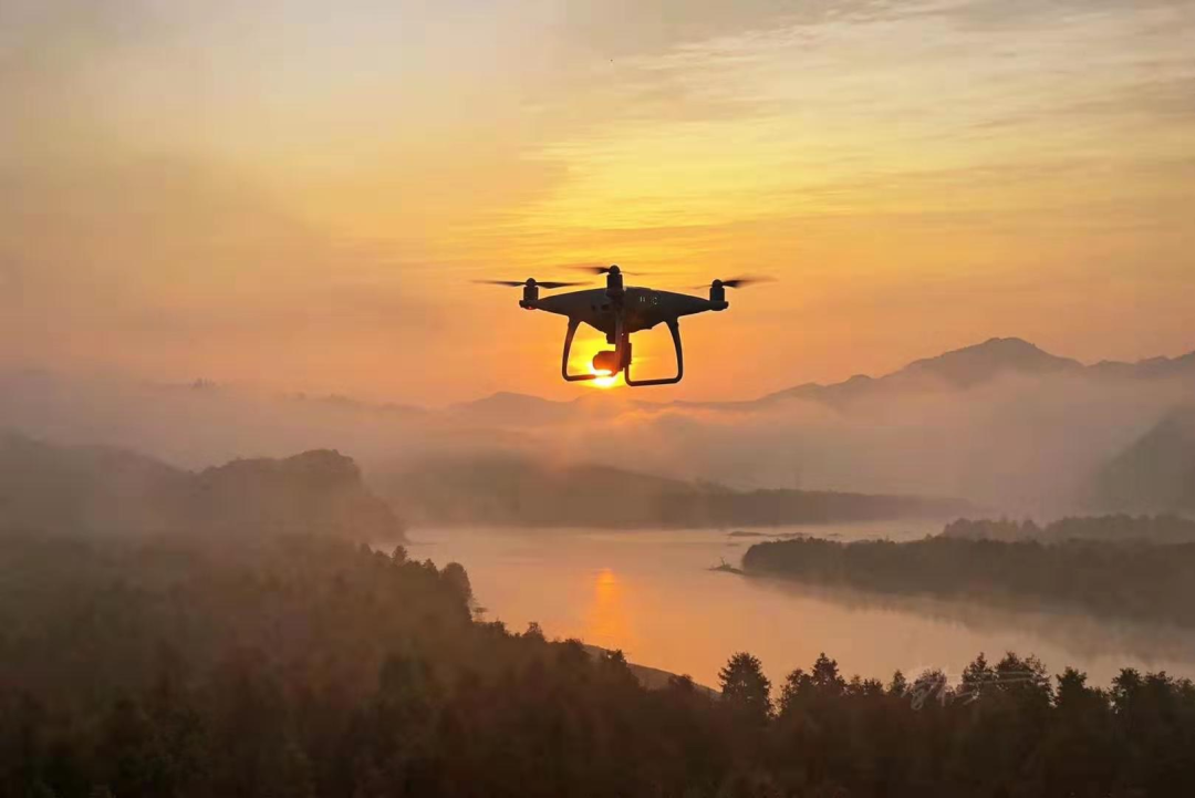 服务涵盖昆明无人机培训、昆明保安服务、昆明物业服务、昆明宠物医疗美容、昆明职业技能培训服务、昆明广告策划、昆明安防监控。