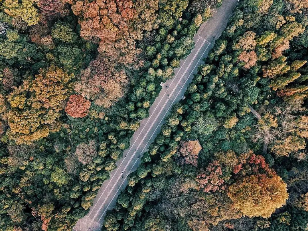 服务涵盖昆明无人机培训、昆明保安服务、昆明物业服务、昆明宠物医疗美容、昆明职业技能培训服务、昆明广告策划、昆明安防监控。