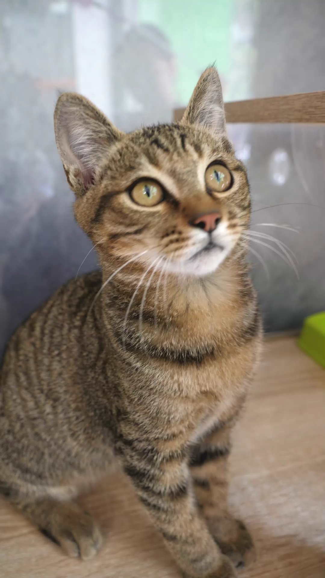 服务涵盖昆明无人机培训、昆明保安服务、昆明物业服务、昆明宠物医疗美容、昆明职业技能培训服务、昆明广告策划、昆明安防监控。