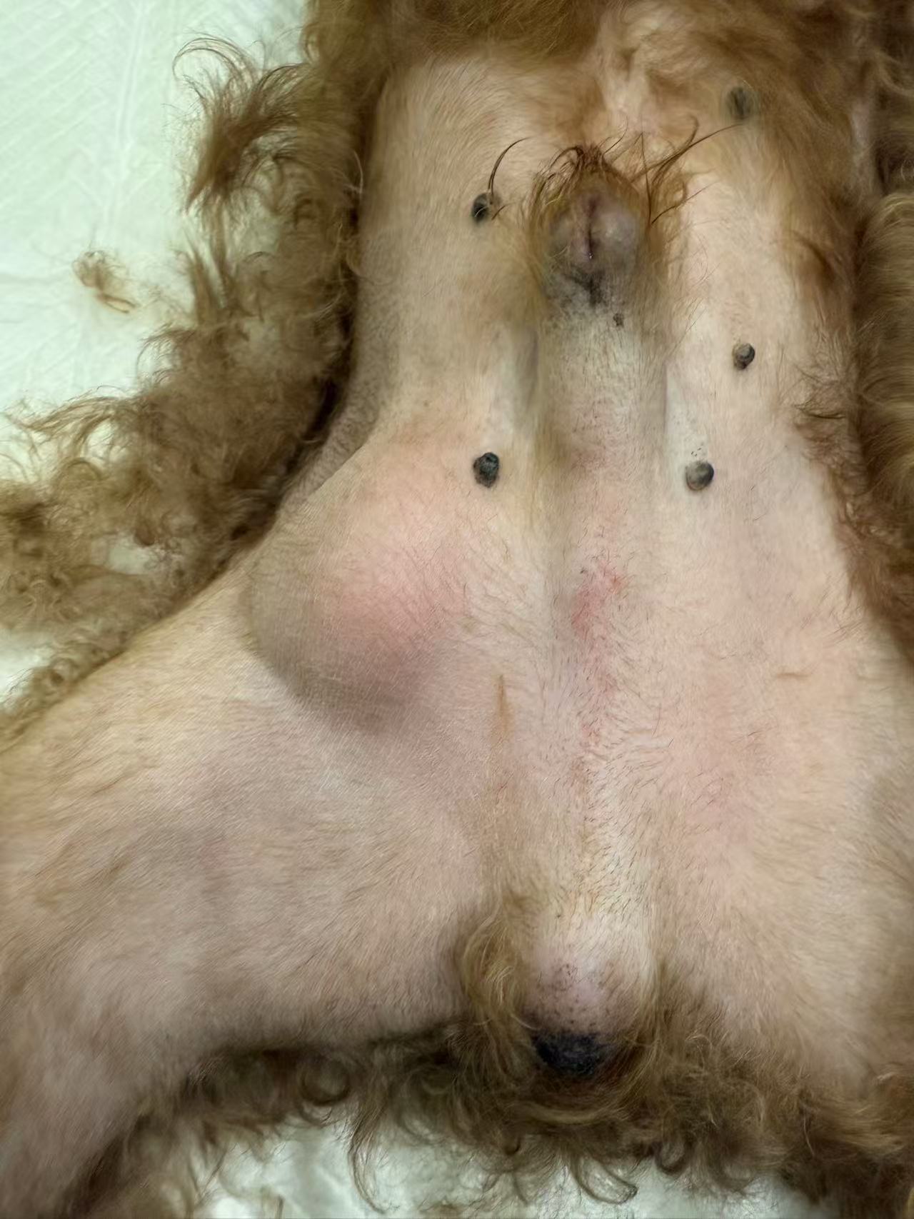 1730077940272326.jpg 微信图片_20241022155804.jpg