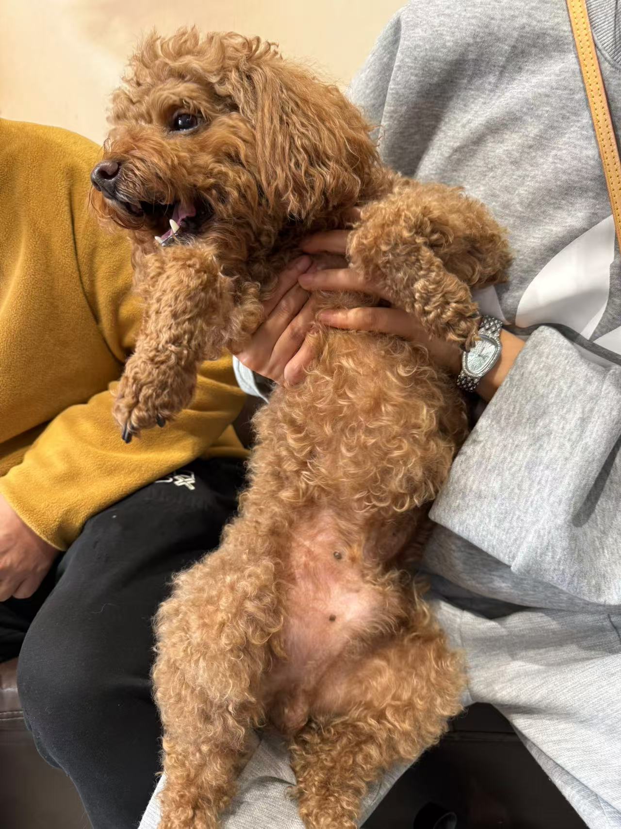 1730077954456497.jpg 微信图片_20241022155752.jpg