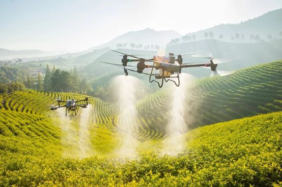 1730778166471126.png 640.png5555.png