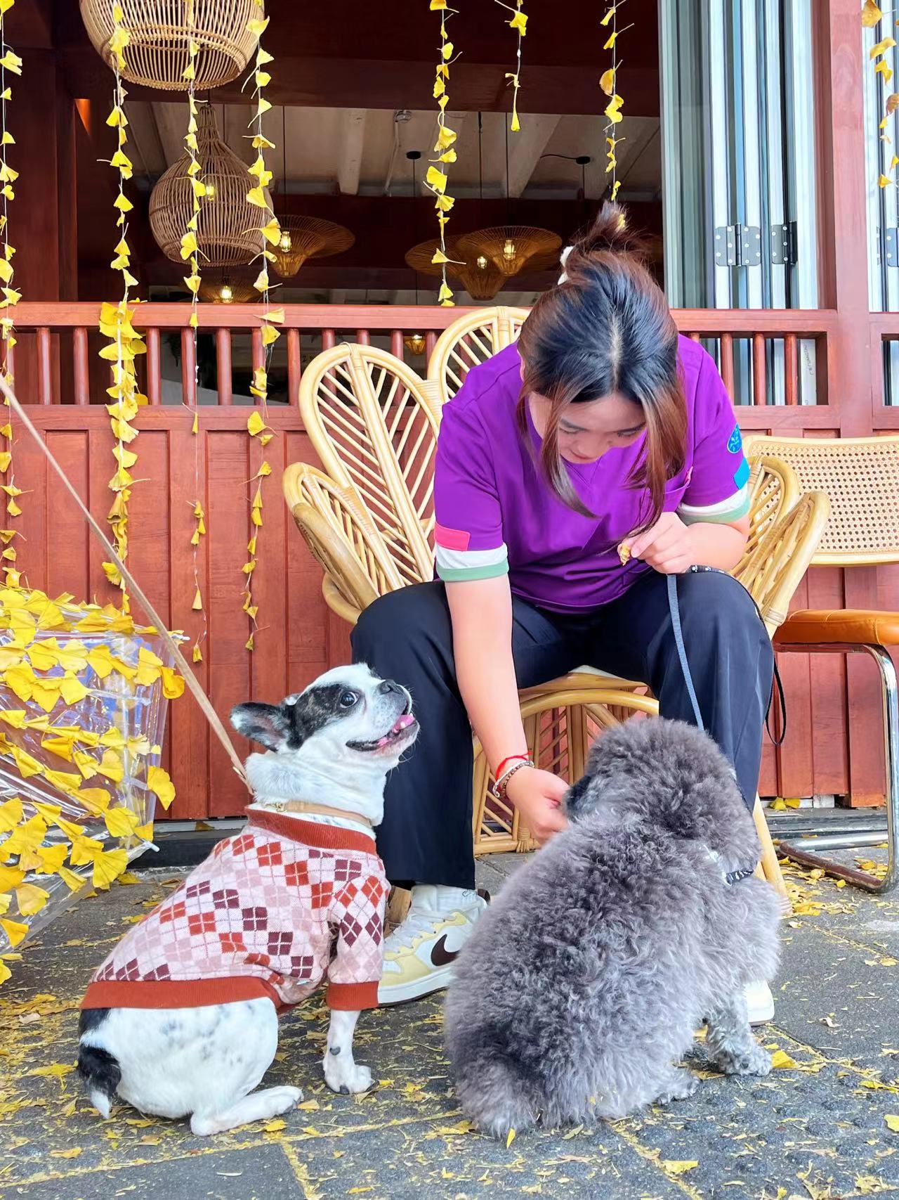 服务涵盖昆明无人机培训、昆明保安服务、昆明物业服务、昆明宠物医疗美容、昆明职业技能培训服务、昆明广告策划、昆明安防监控。