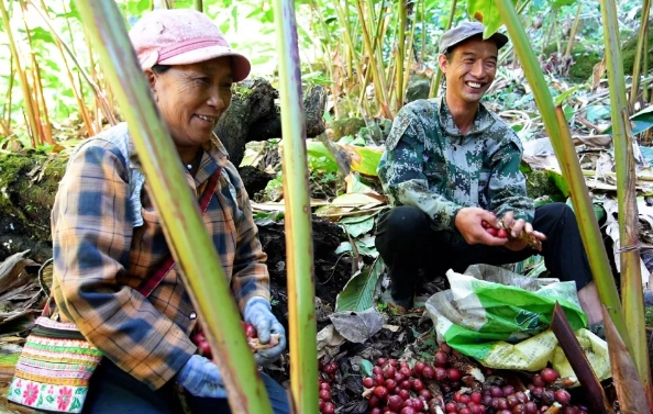服务涵盖昆明无人机培训、昆明保安服务、昆明物业服务、昆明宠物医疗美容、昆明职业技能培训服务、昆明广告策划、昆明安防监控。