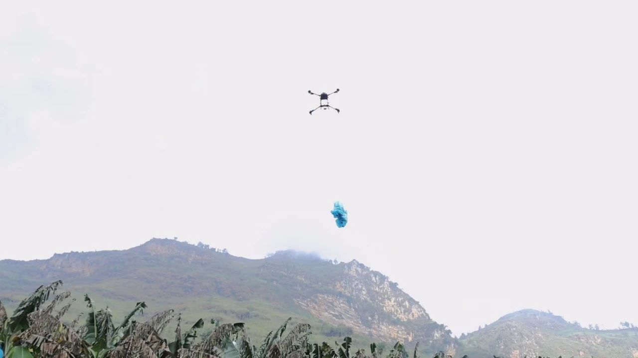 服务涵盖昆明无人机培训、昆明保安服务、昆明物业服务、昆明宠物医疗美容、昆明职业技能培训服务、昆明广告策划、昆明安防监控。