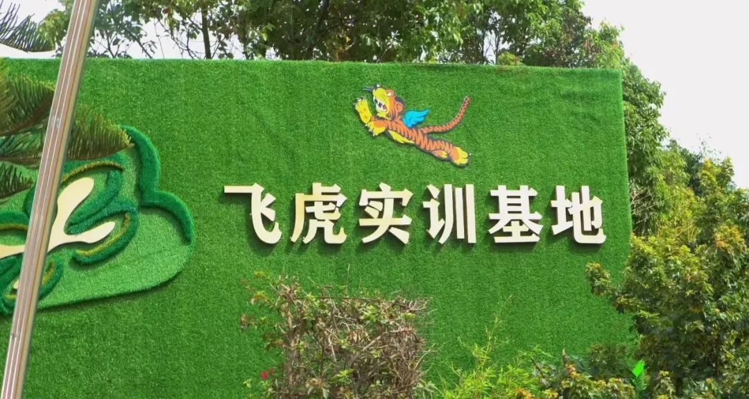 1736732804870248.jpg feihu飞虎实训基地.jpg