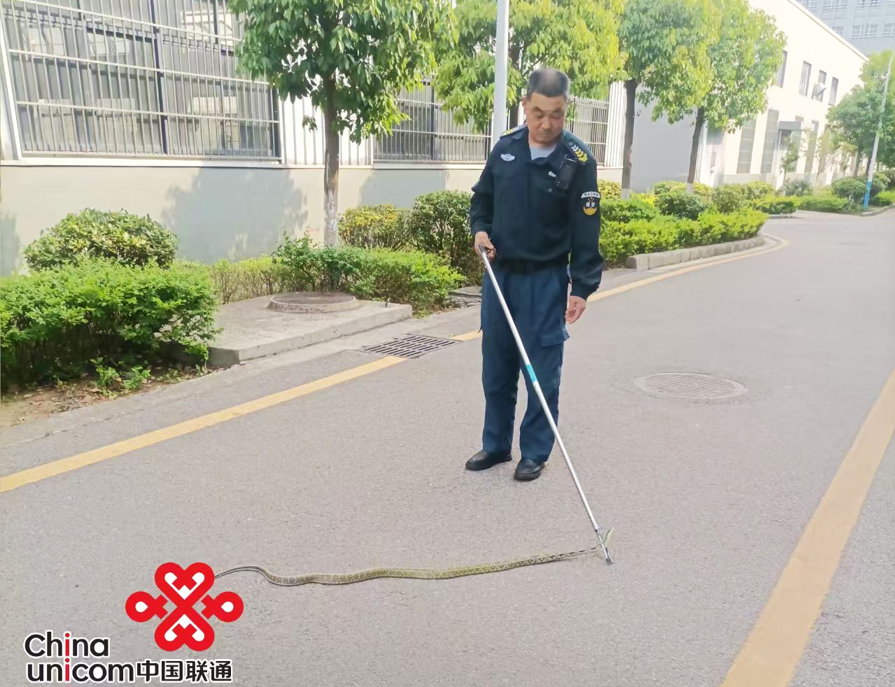 服务涵盖昆明无人机培训、昆明保安服务、昆明物业服务、昆明宠物医疗美容、昆明职业技能培训服务、昆明广告策划、昆明安防监控。