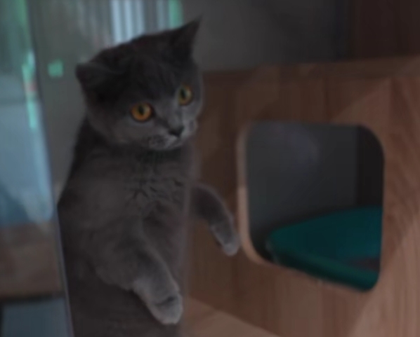 服务涵盖昆明无人机培训、昆明保安服务、昆明物业服务、昆明宠物医疗美容、昆明职业技能培训服务、昆明广告策划、昆明安防监控。