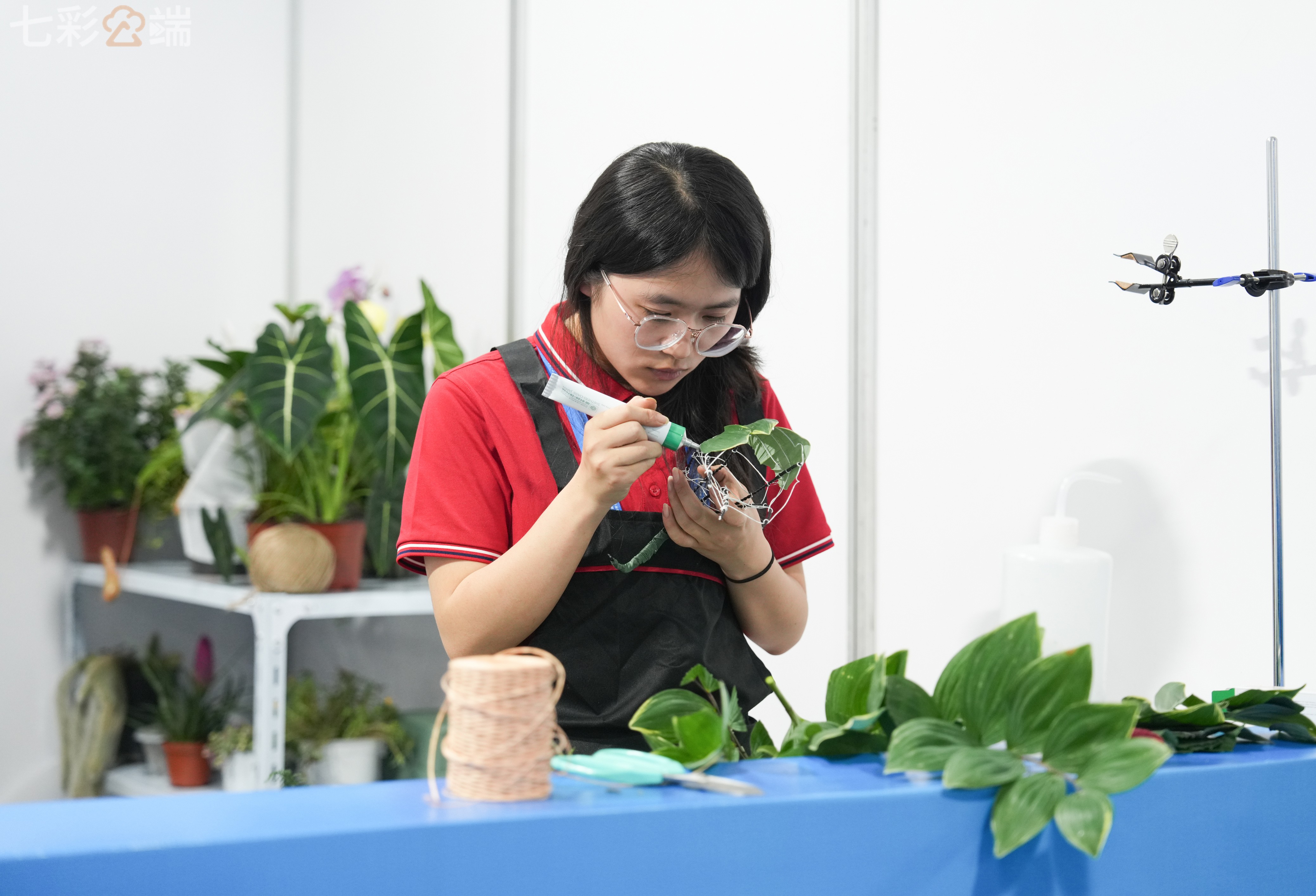 服务涵盖昆明无人机培训、昆明保安服务、昆明物业服务、昆明宠物医疗美容、昆明职业技能培训服务、昆明广告策划、昆明安防监控。