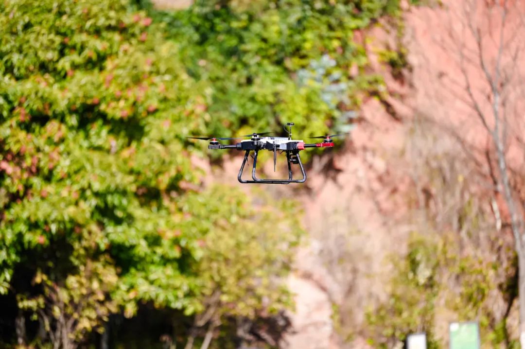 服务涵盖昆明无人机培训、昆明保安服务、昆明物业服务、昆明宠物医疗美容、昆明职业技能培训服务、昆明广告策划、昆明安防监控。