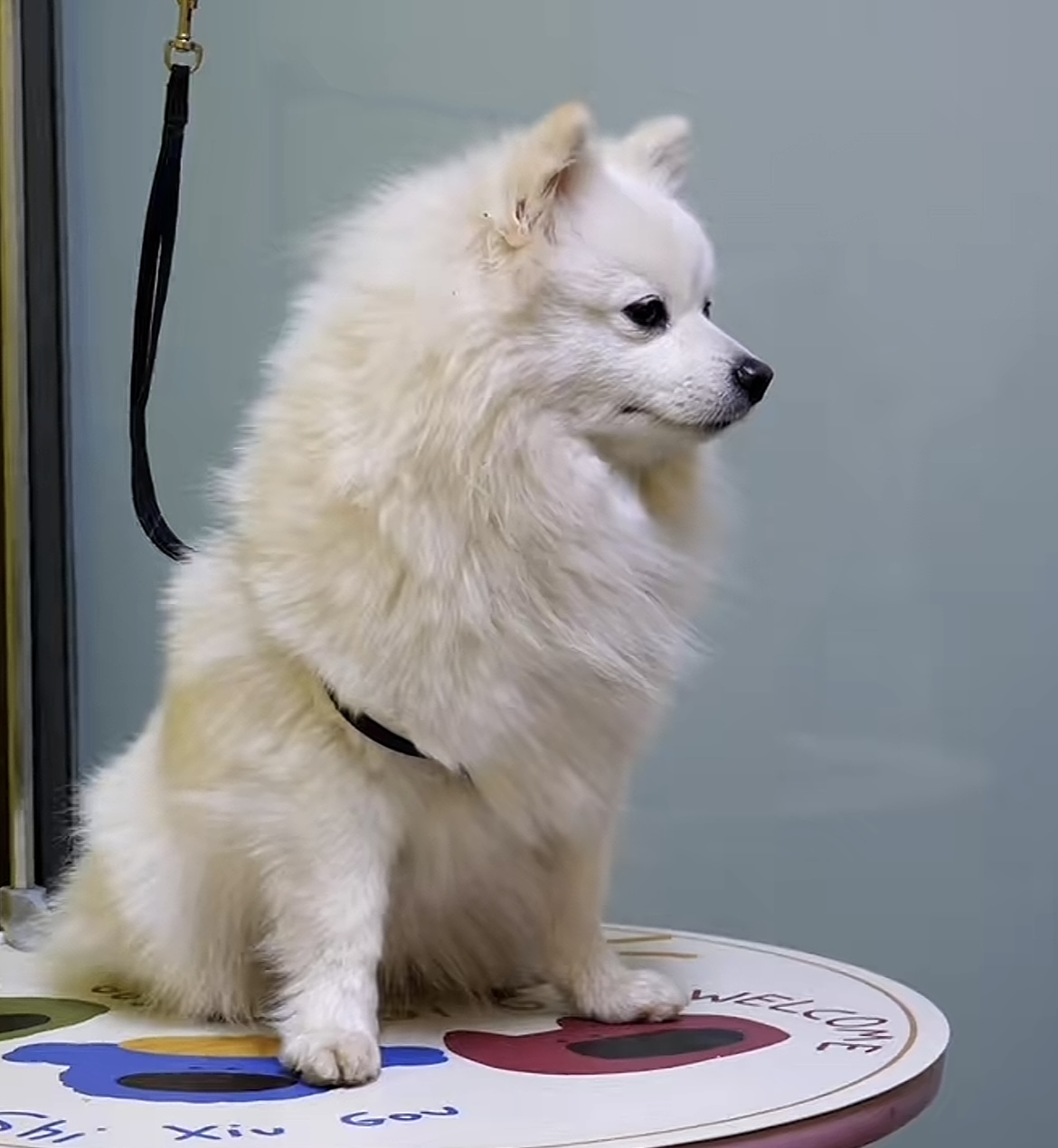 服务涵盖昆明无人机培训、昆明保安服务、昆明物业服务、昆明宠物医疗美容、昆明职业技能培训服务、昆明广告策划、昆明安防监控。