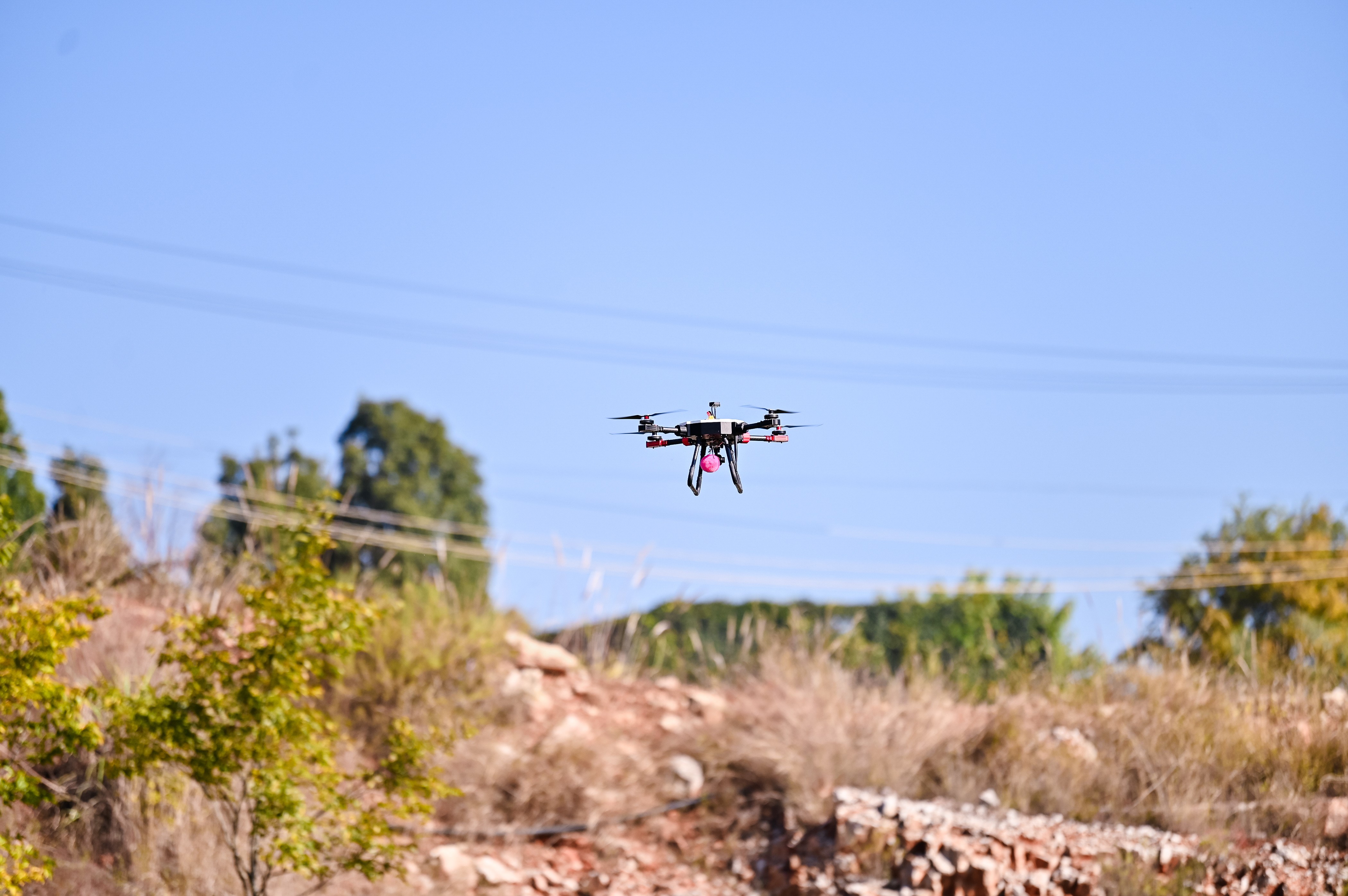 服务涵盖昆明无人机培训、昆明保安服务、昆明物业服务、昆明宠物医疗美容、昆明职业技能培训服务、昆明广告策划、昆明安防监控。