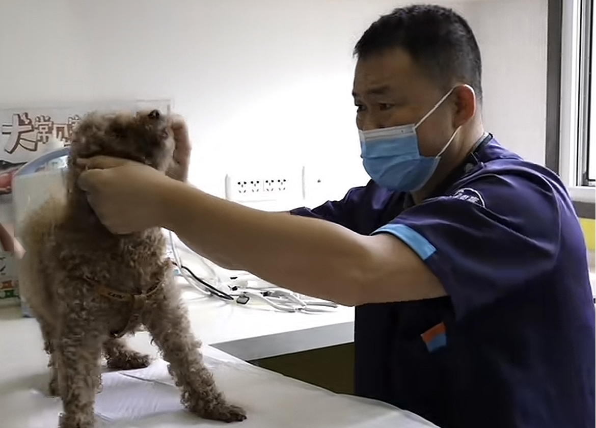 服务涵盖昆明无人机培训、昆明保安服务、昆明物业服务、昆明宠物医疗美容、昆明职业技能培训服务、昆明广告策划、昆明安防监控。