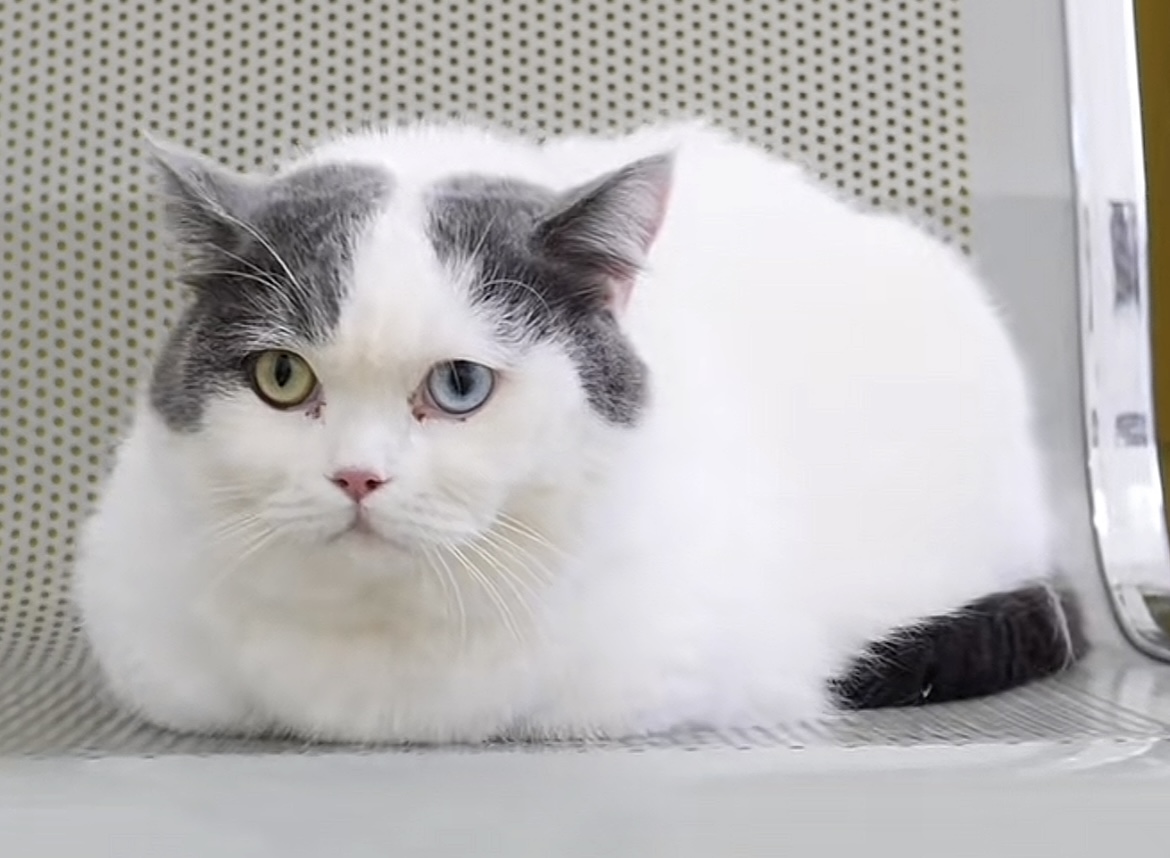 服务涵盖昆明无人机培训、昆明保安服务、昆明物业服务、昆明宠物医疗美容、昆明职业技能培训服务、昆明广告策划、昆明安防监控。