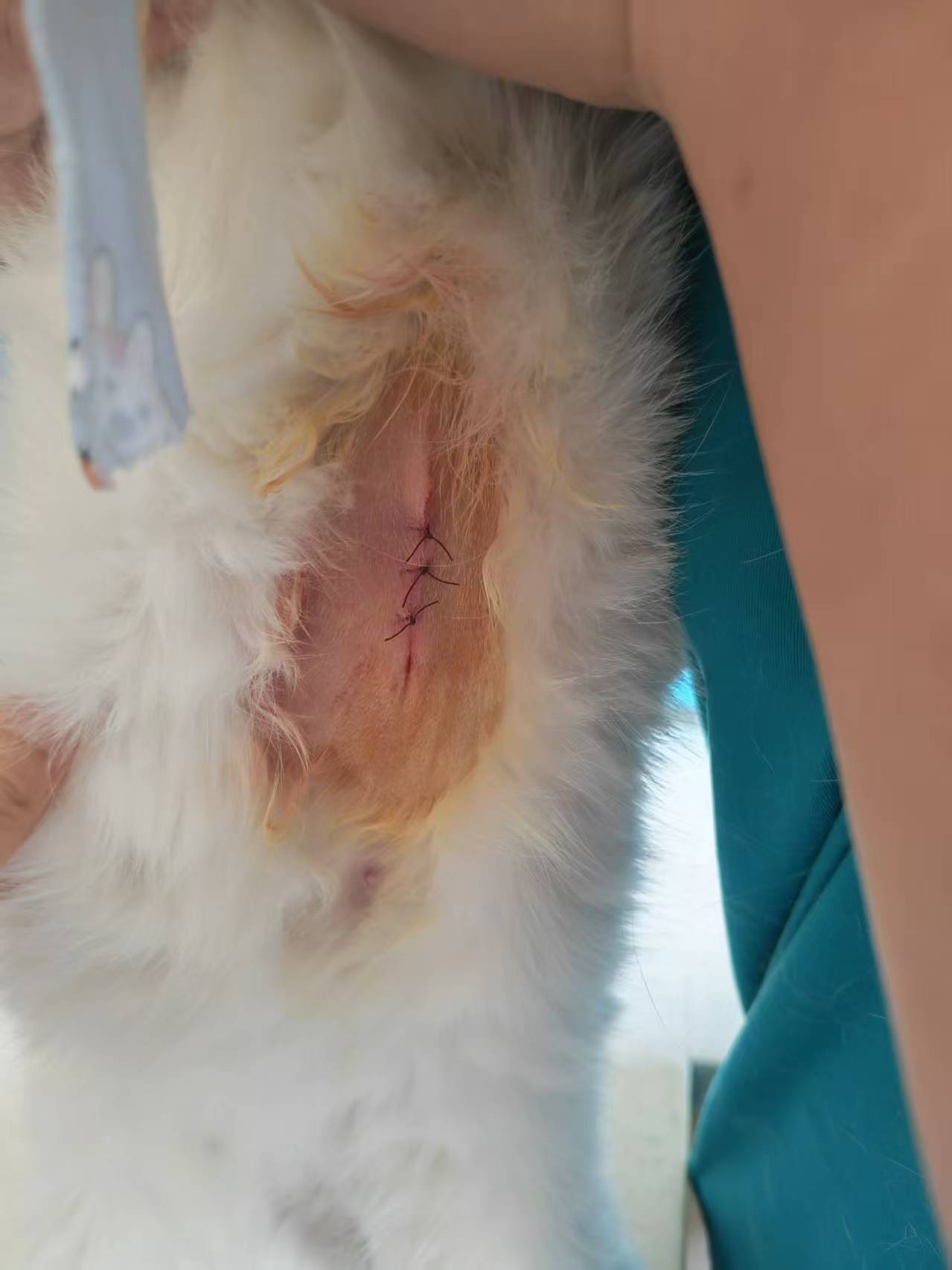 服务涵盖昆明无人机培训、昆明保安服务、昆明物业服务、昆明宠物医疗美容、昆明职业技能培训服务、昆明广告策划、昆明安防监控。