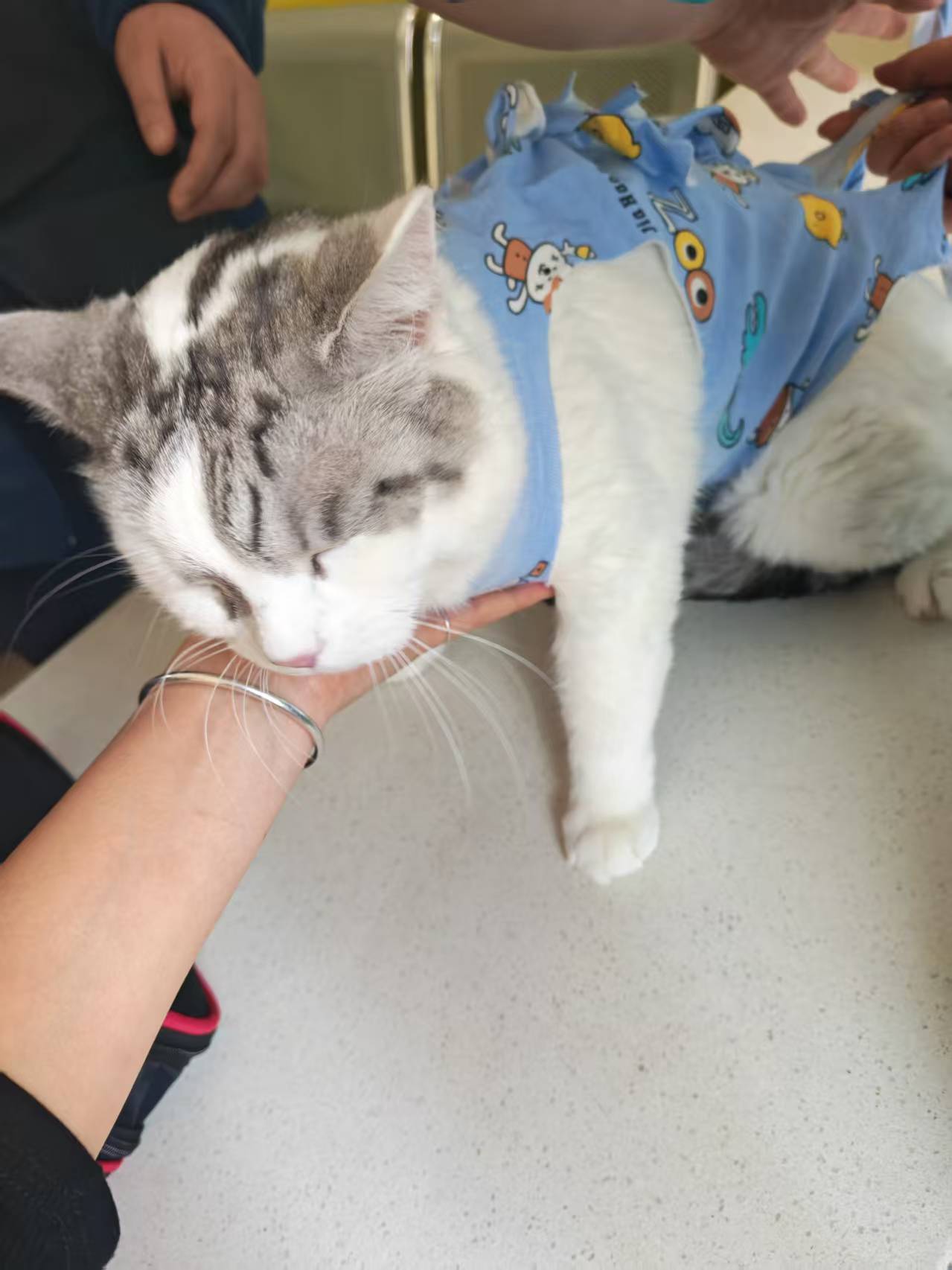 服务涵盖昆明无人机培训、昆明保安服务、昆明物业服务、昆明宠物医疗美容、昆明职业技能培训服务、昆明广告策划、昆明安防监控。