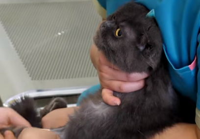 服务涵盖昆明无人机培训、昆明保安服务、昆明物业服务、昆明宠物医疗美容、昆明职业技能培训服务、昆明广告策划、昆明安防监控。