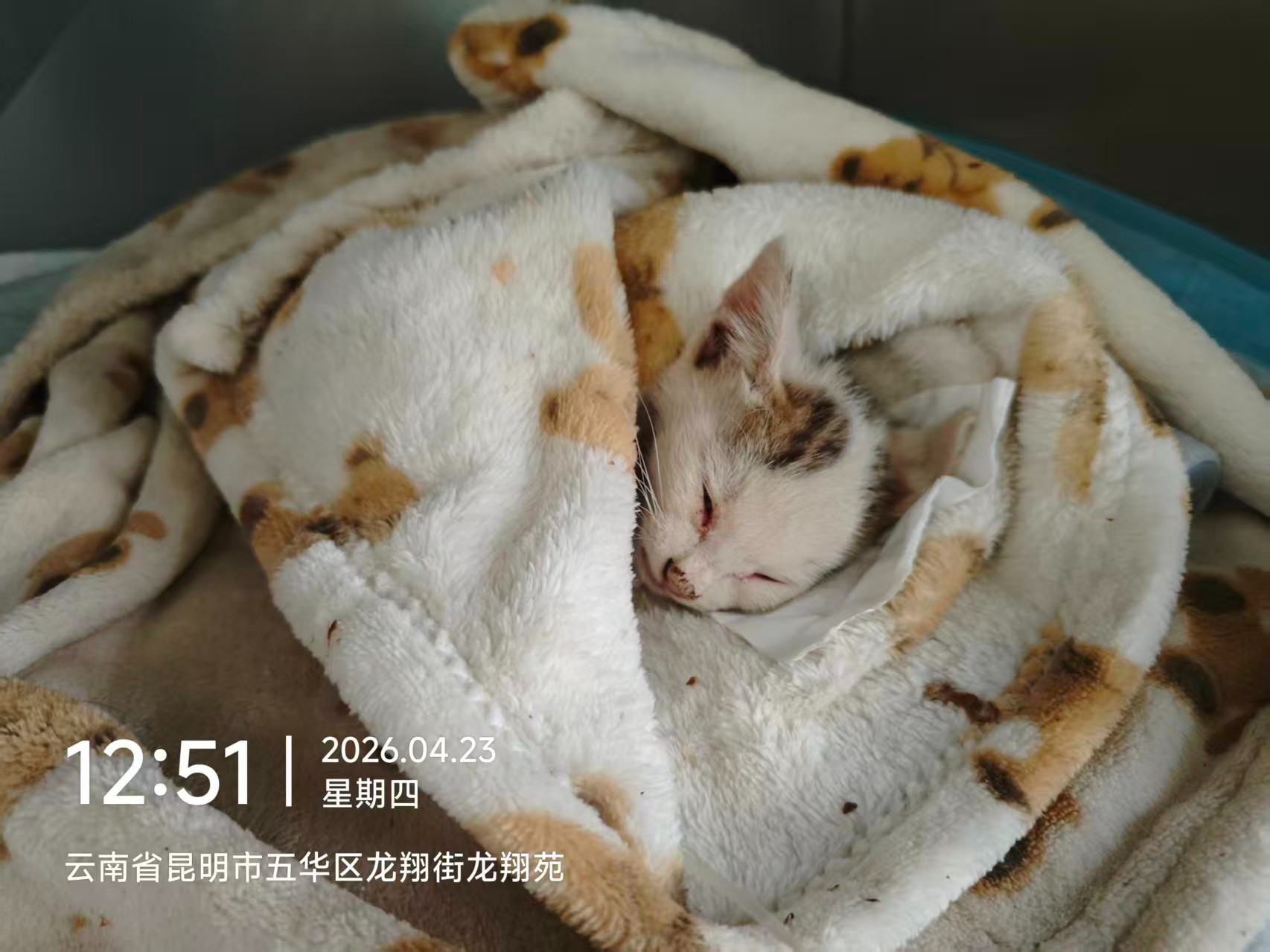服务涵盖昆明无人机培训、昆明保安服务、昆明物业服务、昆明宠物医疗美容、昆明职业技能培训服务、昆明广告策划、昆明安防监控。