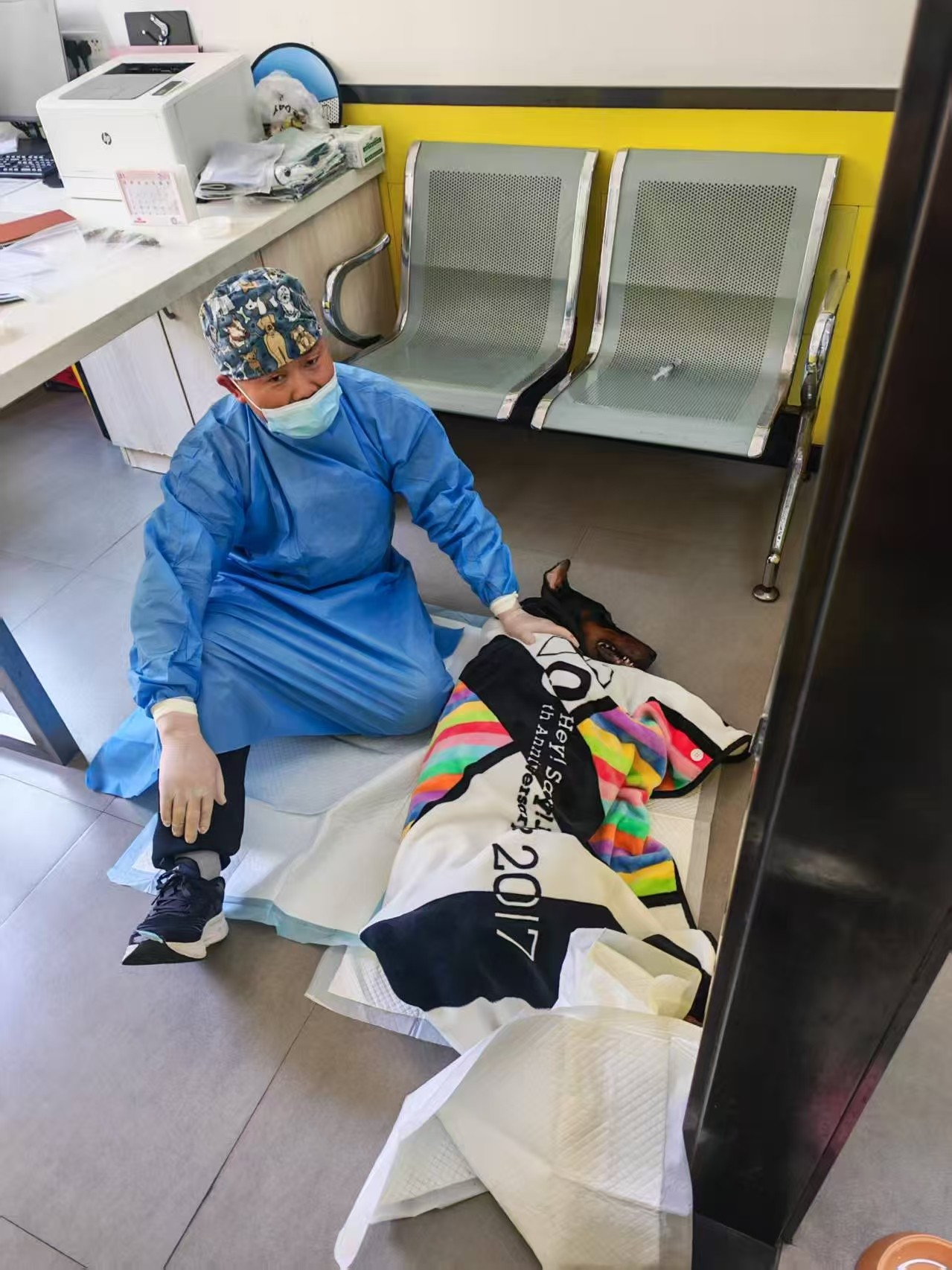 服务涵盖昆明无人机培训、昆明保安服务、昆明物业服务、昆明宠物医疗美容、昆明职业技能培训服务、昆明广告策划、昆明安防监控。