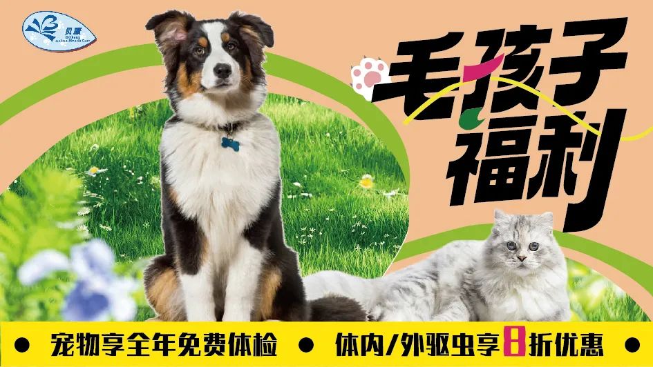 服务涵盖昆明无人机培训、昆明保安服务、昆明物业服务、昆明宠物医疗美容、昆明职业技能培训服务、昆明广告策划、昆明安防监控。